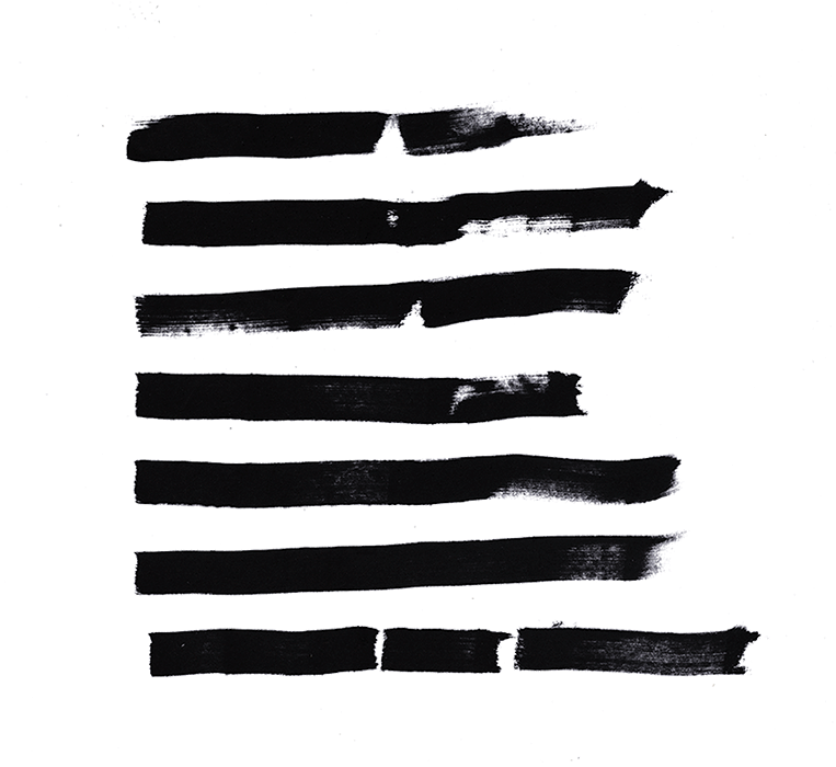 tommaso pasini about