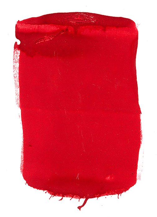 tommaso pasini project